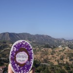 Hollywood Hollywood